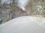 2011010101.jpg