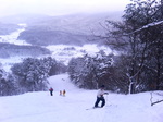 P1000056.JPG